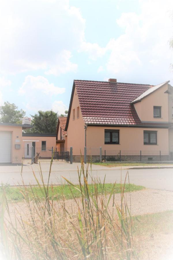 Landhaus "Zum Frosch" Kalbsrieth 外观 照片
